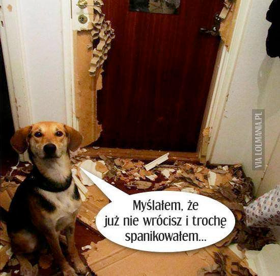 e32401e7-164c-4668-ae32-2638bf11840e