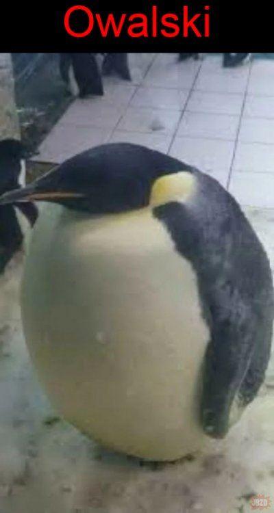 984939c2-843f-4c36-bb52-5a02121044ae