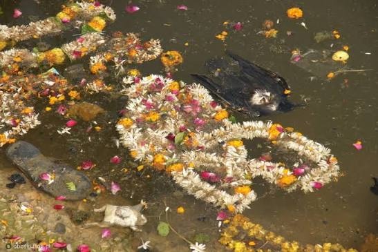 3dbb777a-baa0-4341-9aa1-58e96bdf1580