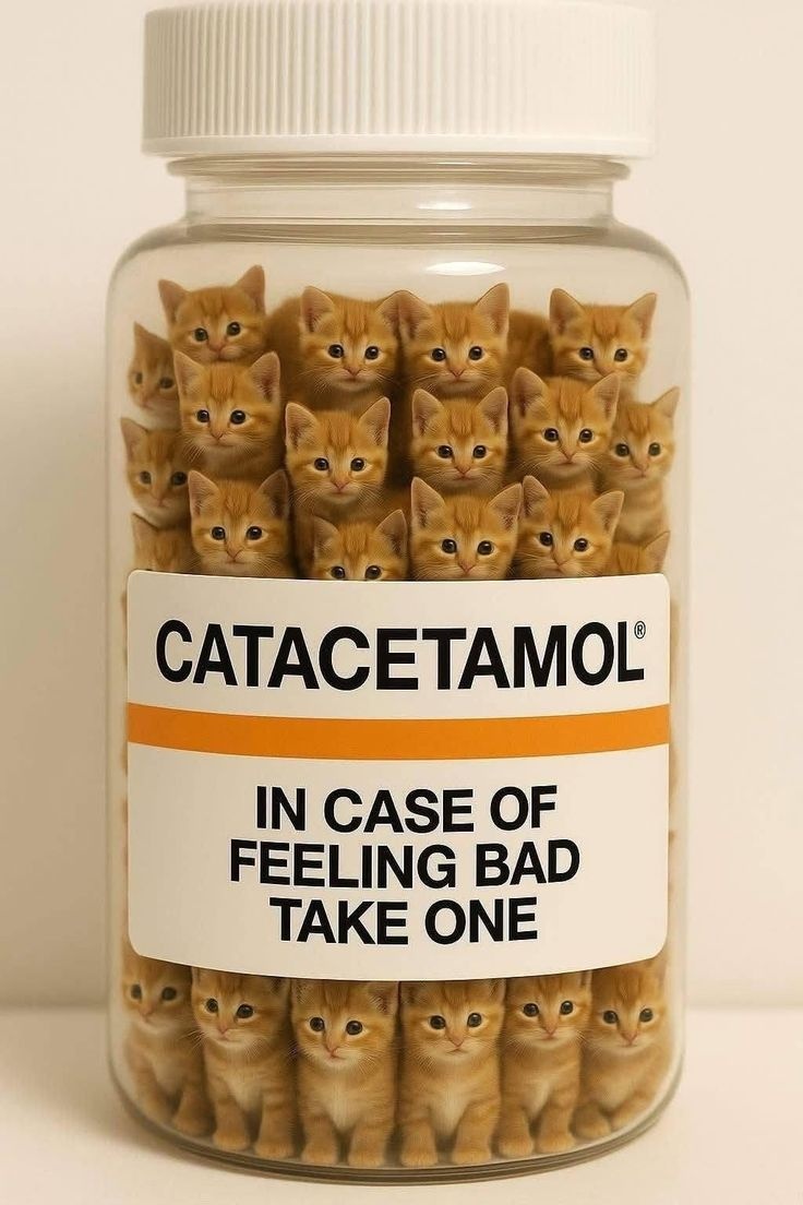 7bbfeab3-d6aa-4dfe-9bca-34e76d6f9c2e