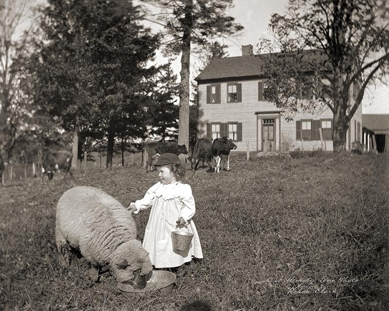 e5c7dd33-72c7-4c10-87b7-4d8563d4abf8