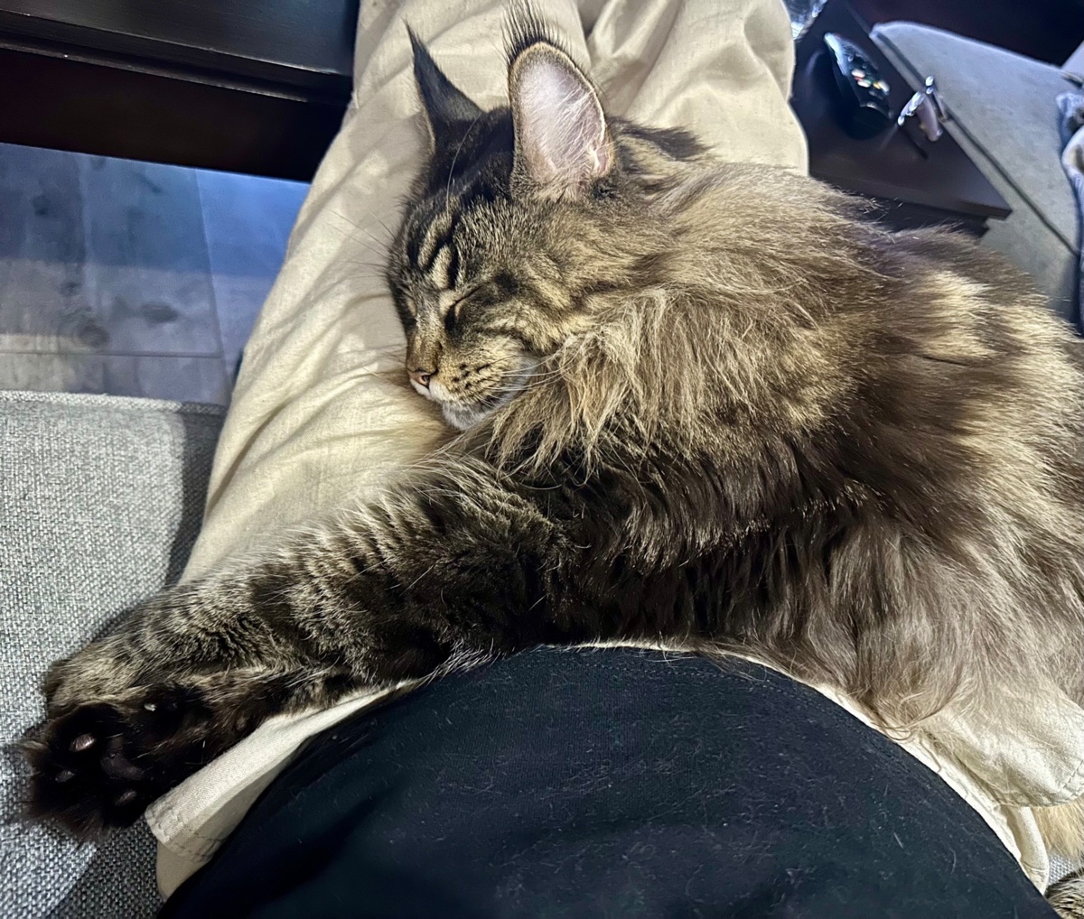 b1686ac6-7250-4453-8027-c5d324d62dcc