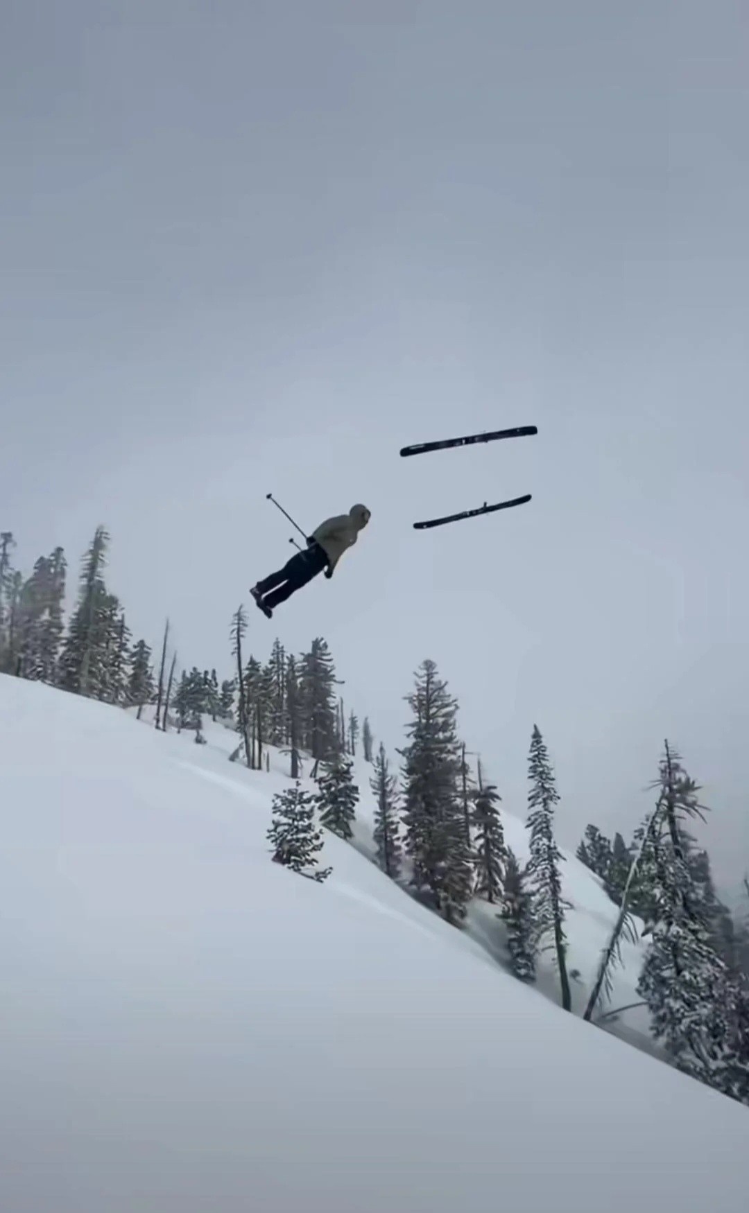 8b973647-6781-4fef-a74f-b49796f0ce93