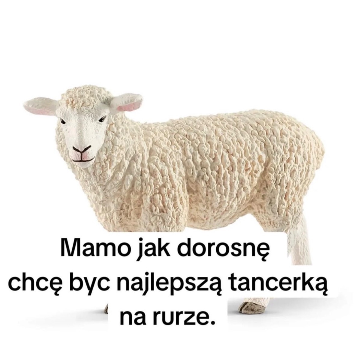 e34ca9ab-4384-4731-8fcd-e2baf974314d