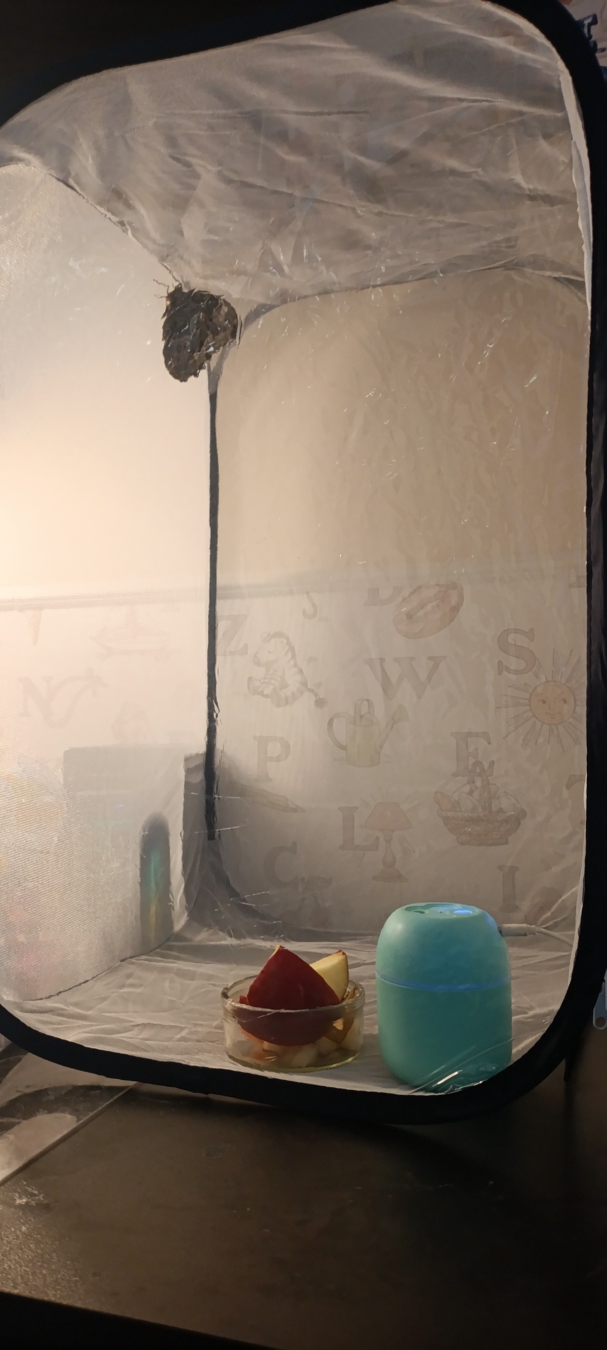 ab7ac29d-4755-4ea4-859c-74e6956cf3b9