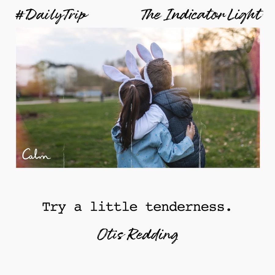 ae761df8-24d7-431f-b2d9-049a142b9d12