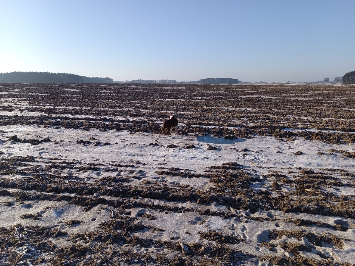 26b98bff-7b72-42f5-a901-2a8714366720