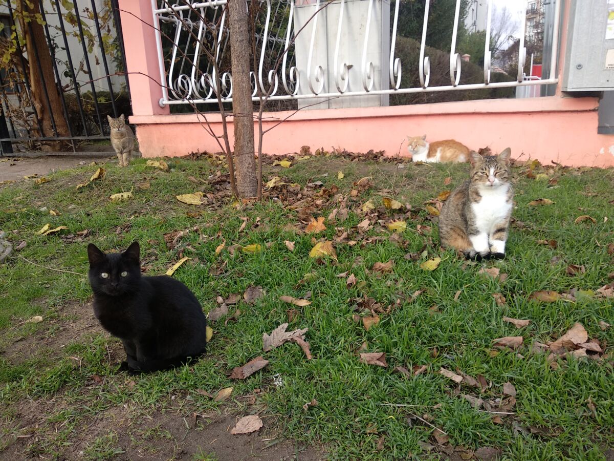 22b10cb2-c9c3-42bf-84fc-68c7ee4d0bf1