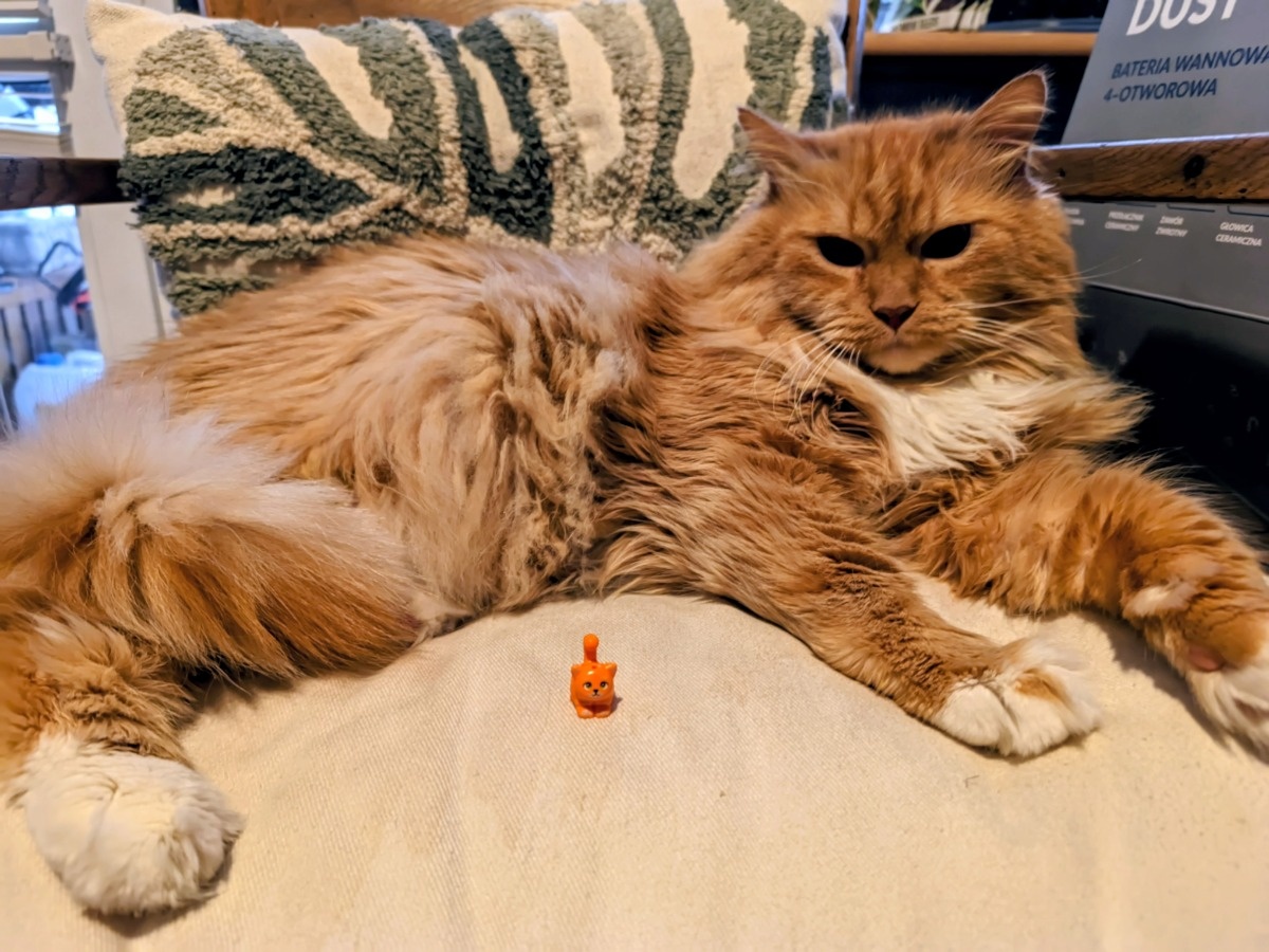 b52f5bab-fd08-4164-908b-9f438ab339f5