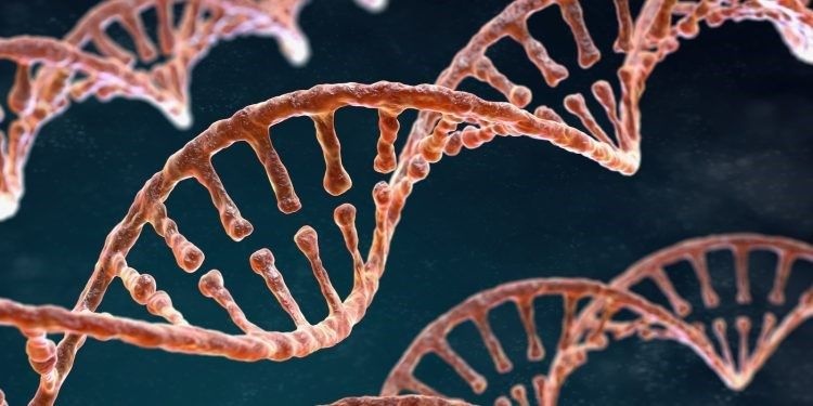 Epigenetyczne efekty konopi: Co naukowcy odkryli o ludzkim DNA