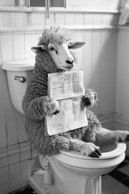 81ce0a50-73b2-4d9f-aa01-fd1f2fe183d6