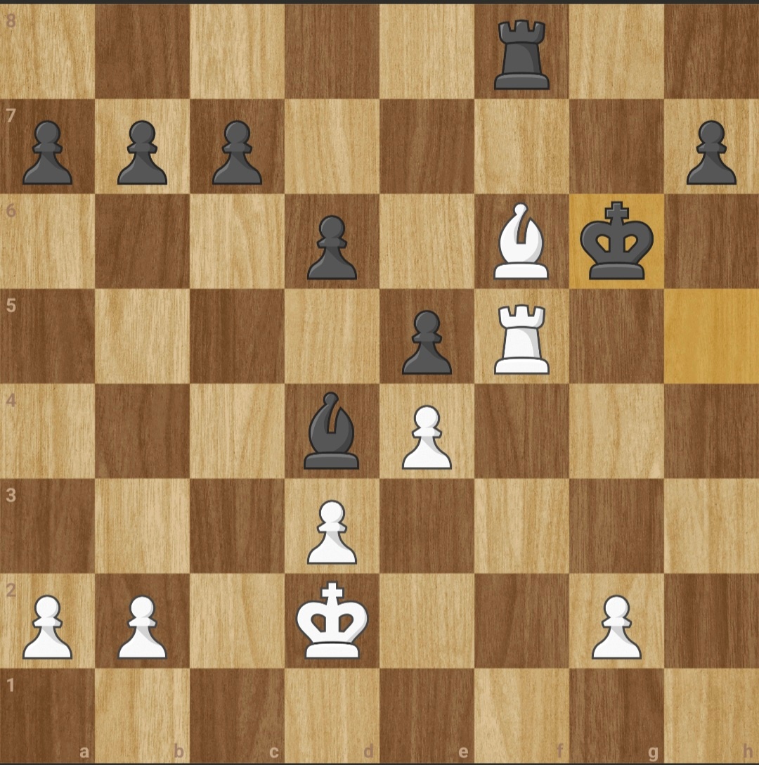 00c86a7c-0e86-4c81-9d7e-95ed46cea63f