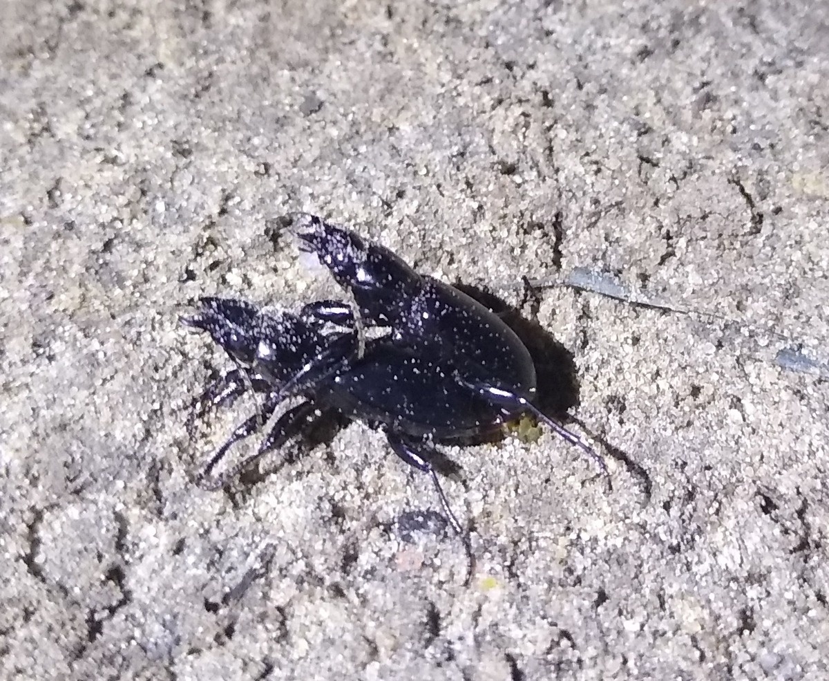 e1d84726-e010-4ebf-b7aa-561bf7777f62