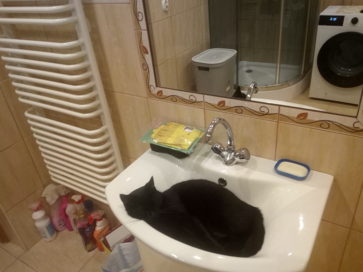 d3c67778-8200-4ecd-b8ce-6de9f7ca826d