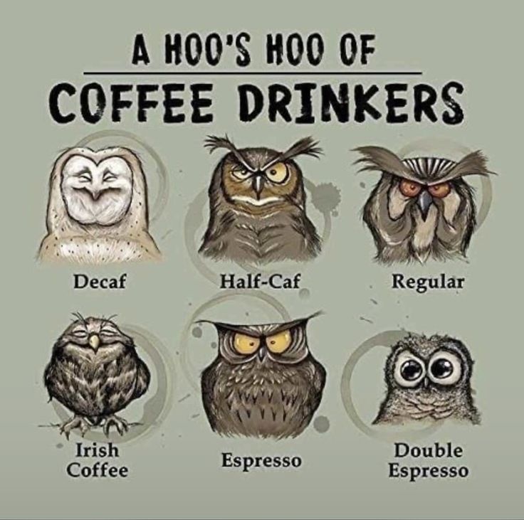 b19d5ff5-b06e-429a-8bbb-1e757cf840bf