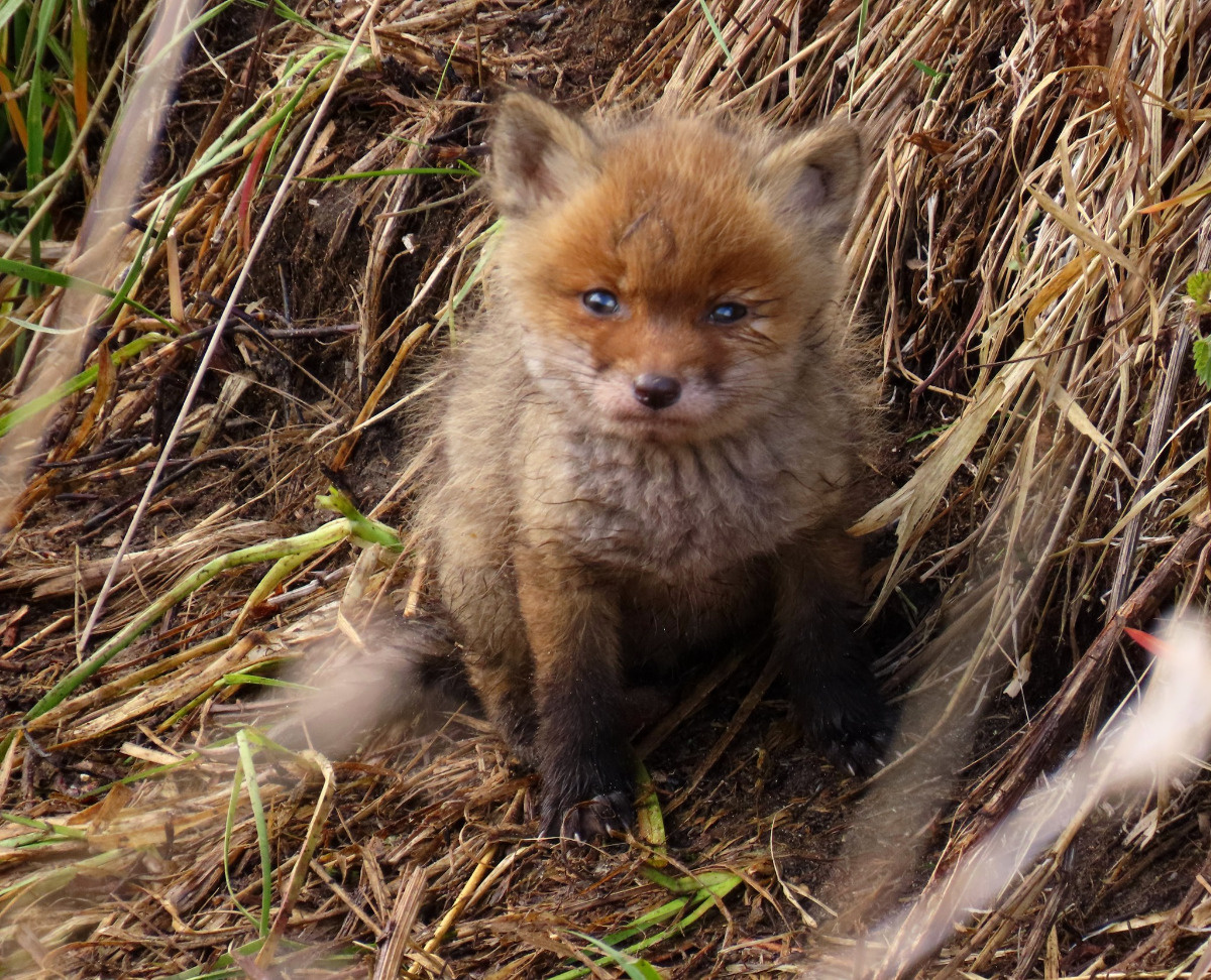 fa0f5d95-4fb6-4137-a626-24b5565edf64