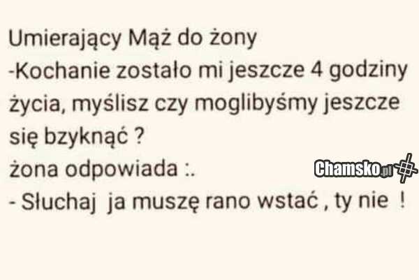 0ffbcb53-c83a-4ac7-a8c2-d7740887131b