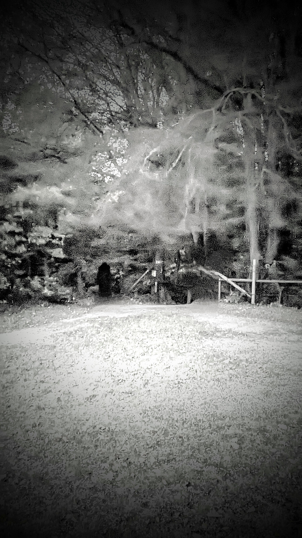 87658b2b-a77d-4489-a12e-351deb3c1f50