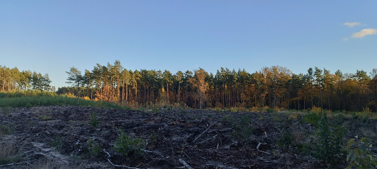 a2dfe0eb-a30a-4ba2-ae9b-d09839912571