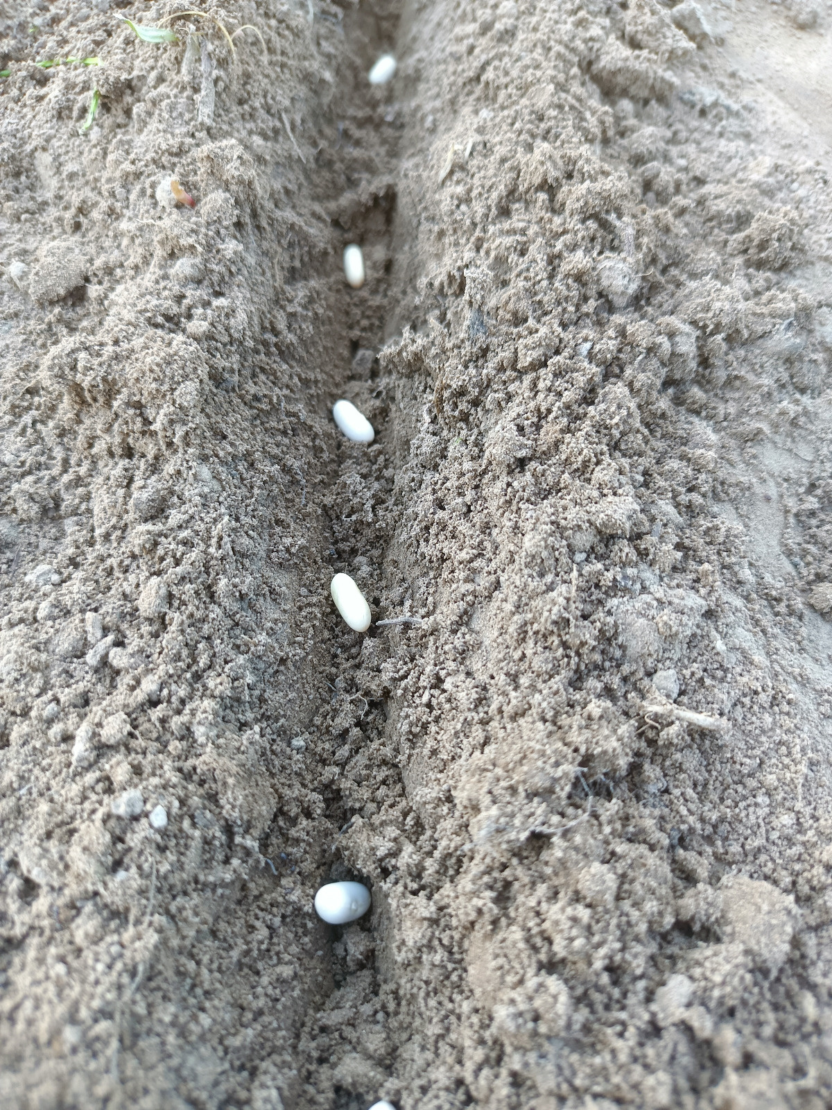 a7d5df81-e1b2-470a-aa50-a0234da9d962