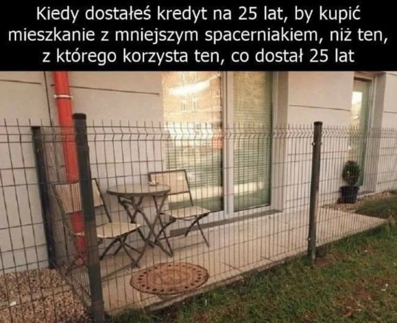 9a4ed1d3-ae7a-4888-8918-bf8ae275491b