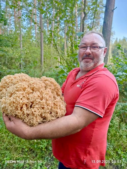 43e2ba12-e415-4ed3-8386-ea768af657ae