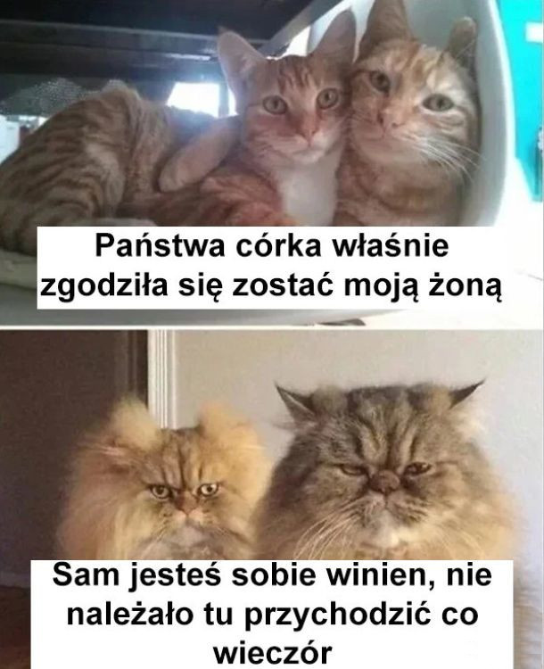 1529b9b0-eaff-4541-ac7b-586bf60e177e