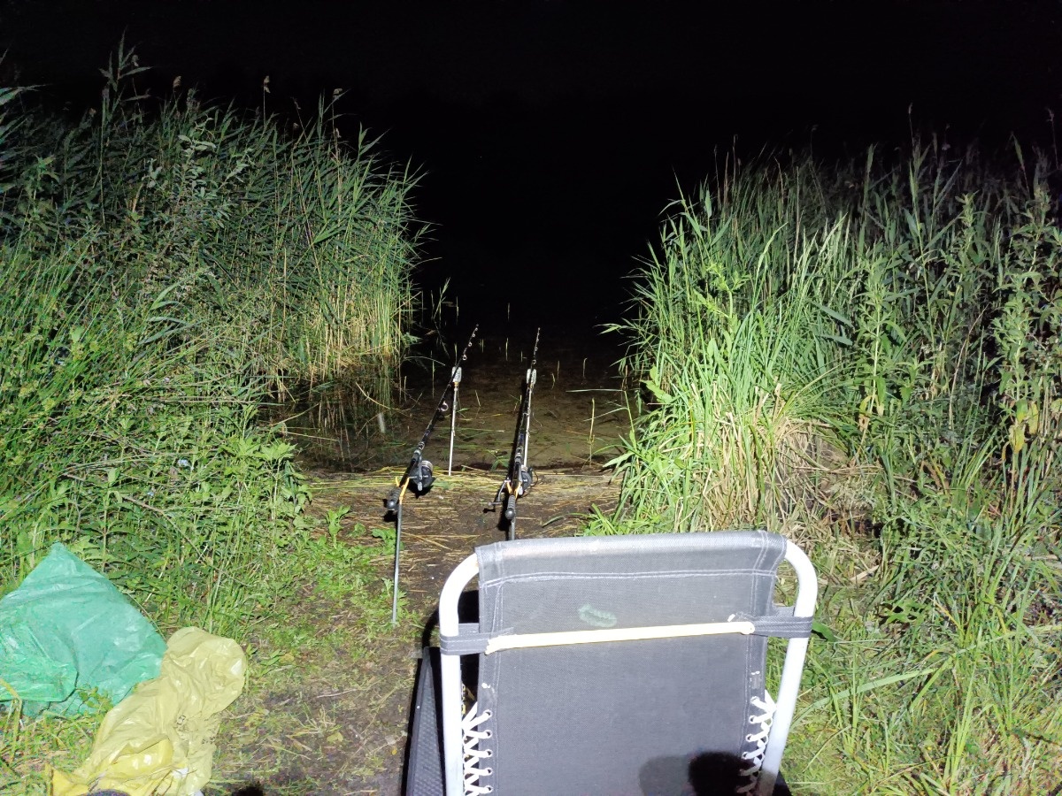 8ddb72c6-05c9-4568-9302-765fbd00fb7b