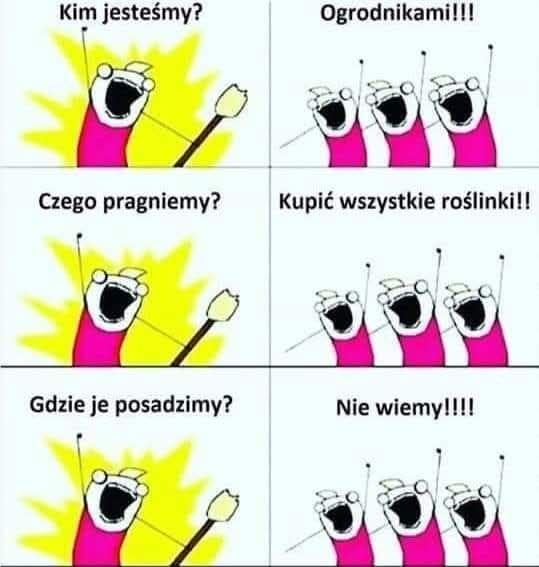 d06586e6-6363-4bbf-97cb-97d2906a548c