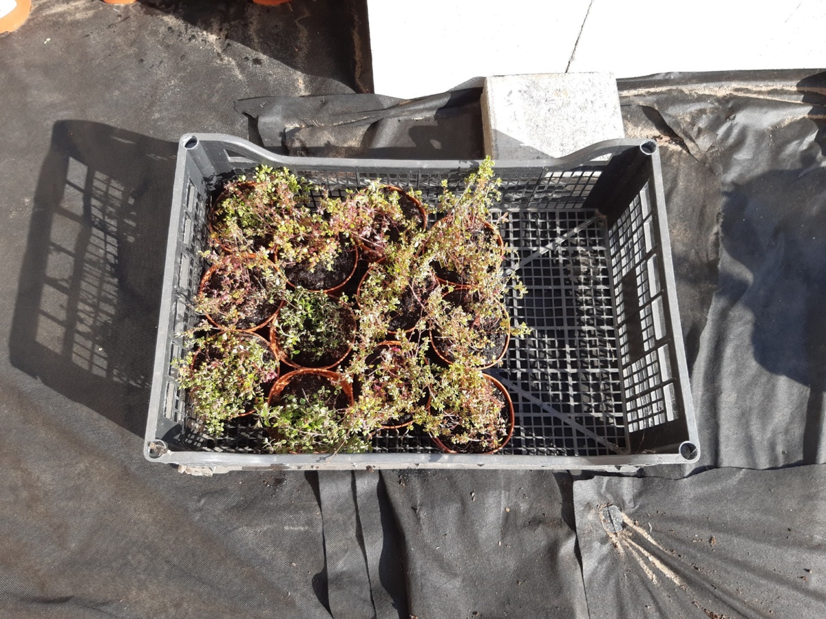 56788a0b-5a70-43bc-a05c-0b5127c38d8a