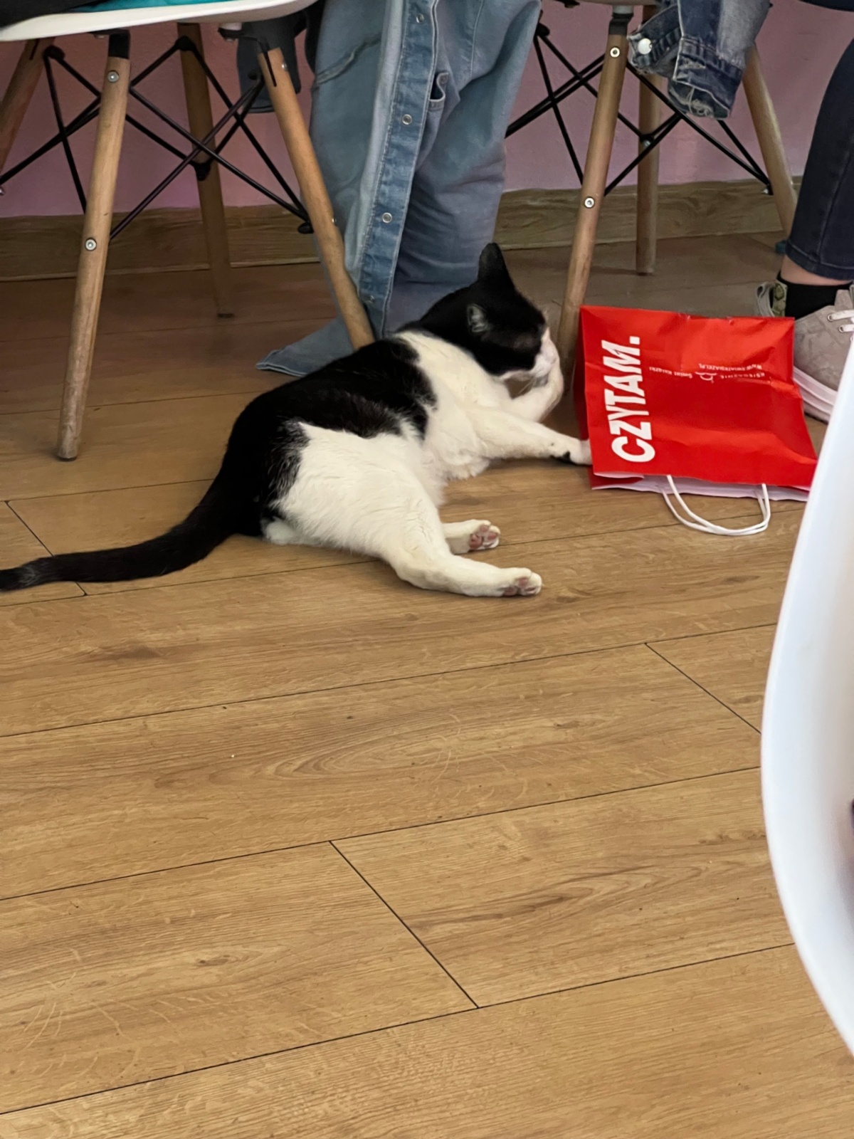 55f75e92-685e-4eb4-bf78-ecd380fabe2e