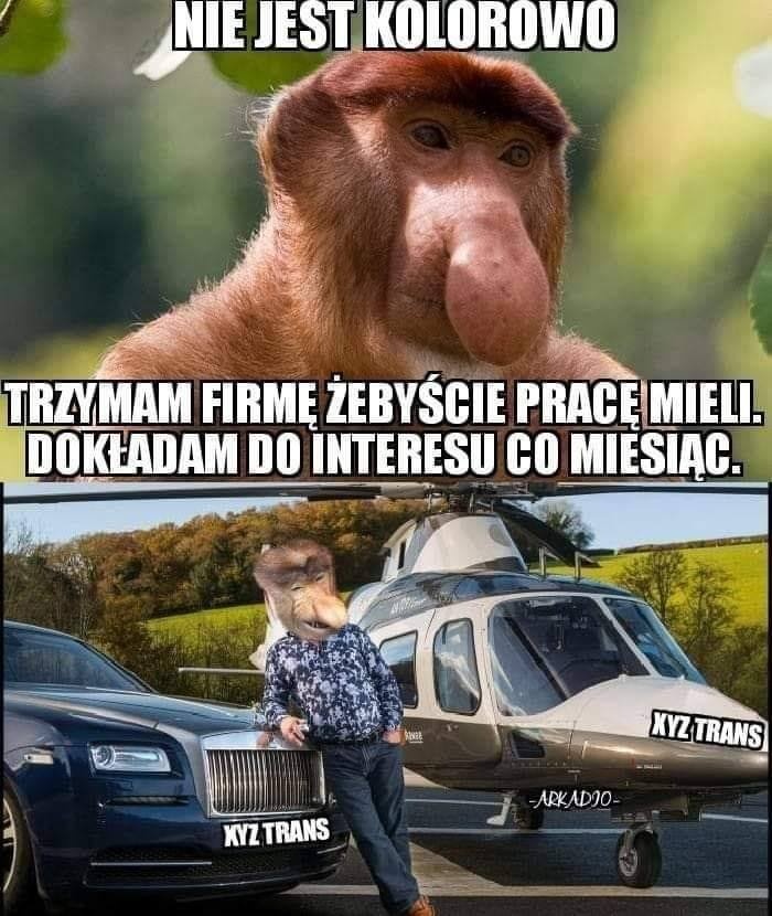 8784abdf-98b7-4e17-9d9d-090a50c13f8f