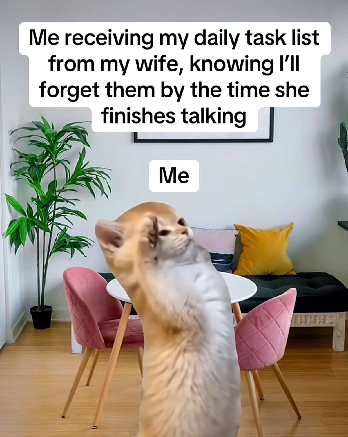 d6a82085-21f9-448c-a514-1b588e0a79e9