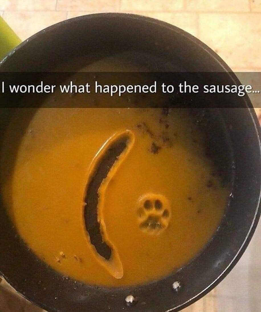 756b10bd-41e0-42d7-9941-059c6cdbd2a9