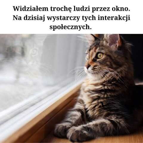 e76b4602-1a74-4db2-9354-72cdffffac34