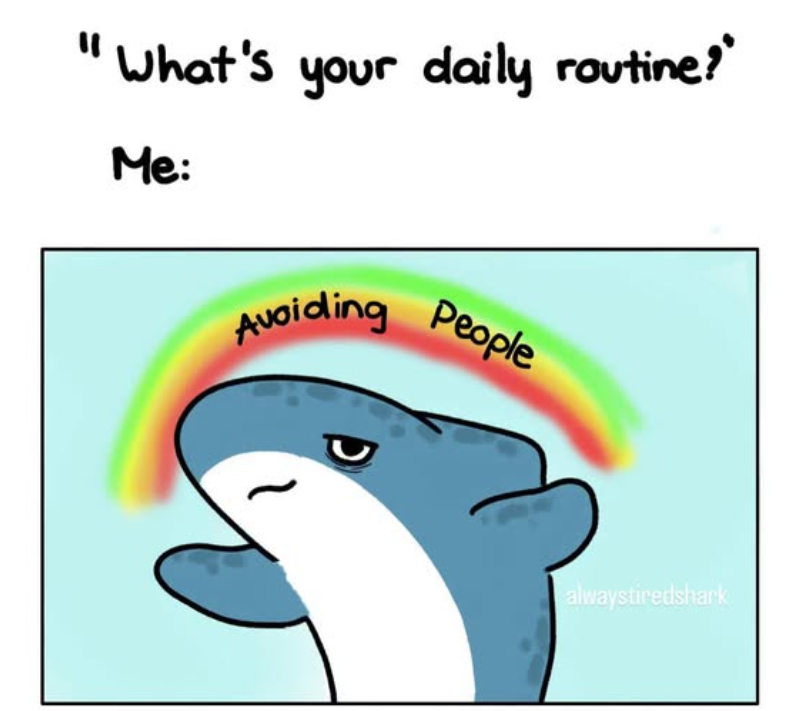 2d4a3d19-86cd-42e1-8232-a6f498324c09