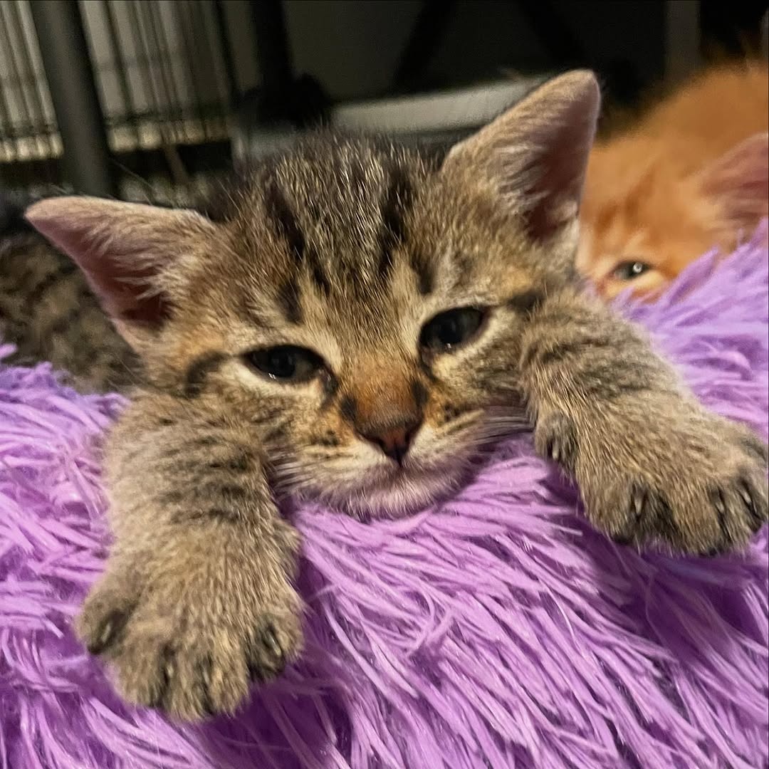 2f095c76-4374-4965-bb15-913621fb1c9a