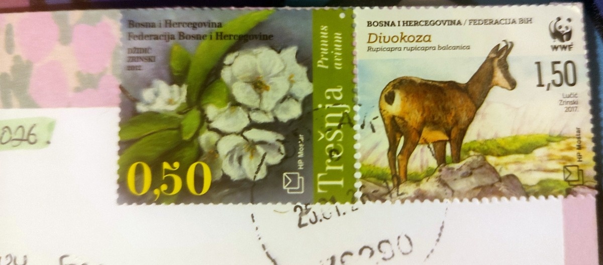 477bae6e-447a-4f3b-b9d2-5672763c6d1c