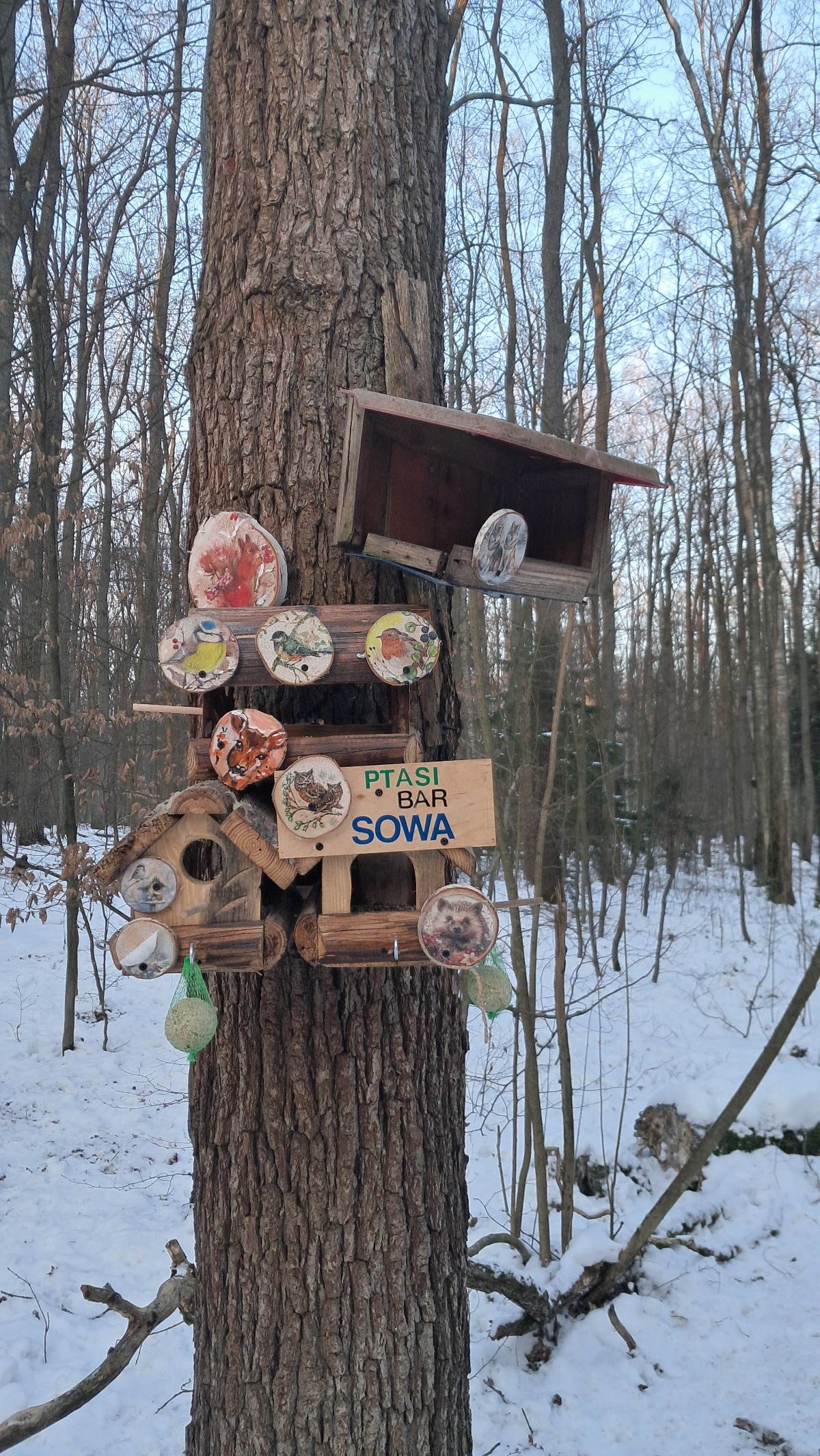 4fe7f27a-7213-44e6-9c7f-8b3f09261c9b