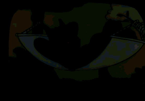 02422bf6-05d4-4795-81b9-5863e2b7c51c