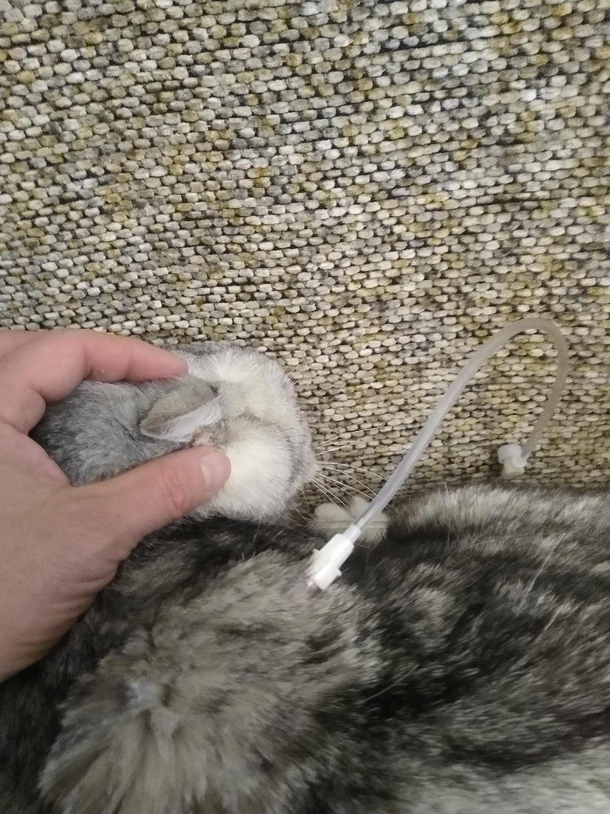 d6ddb0c6-be1b-4b41-85c1-3973c77aa202