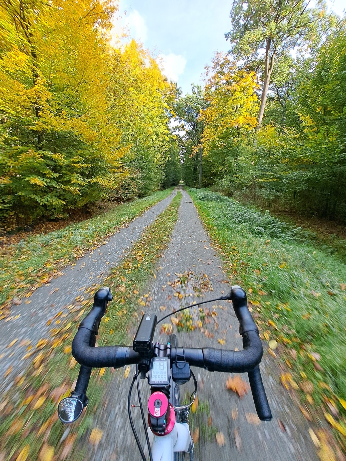 d00851af-cbdf-4ce5-a1c5-ddd716a7a2e3