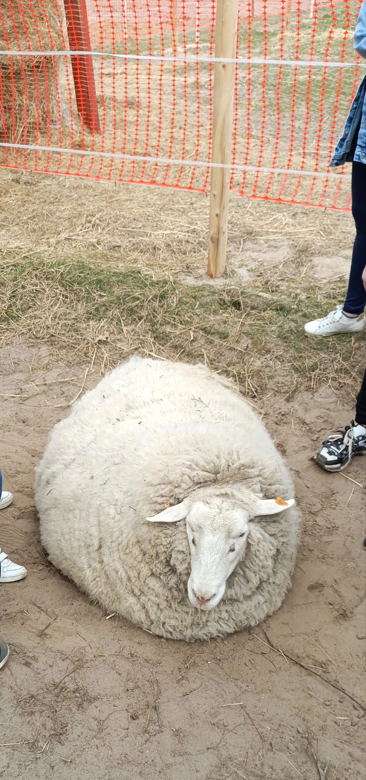 5af110ee-11be-46f6-a189-12b62a9c82d7