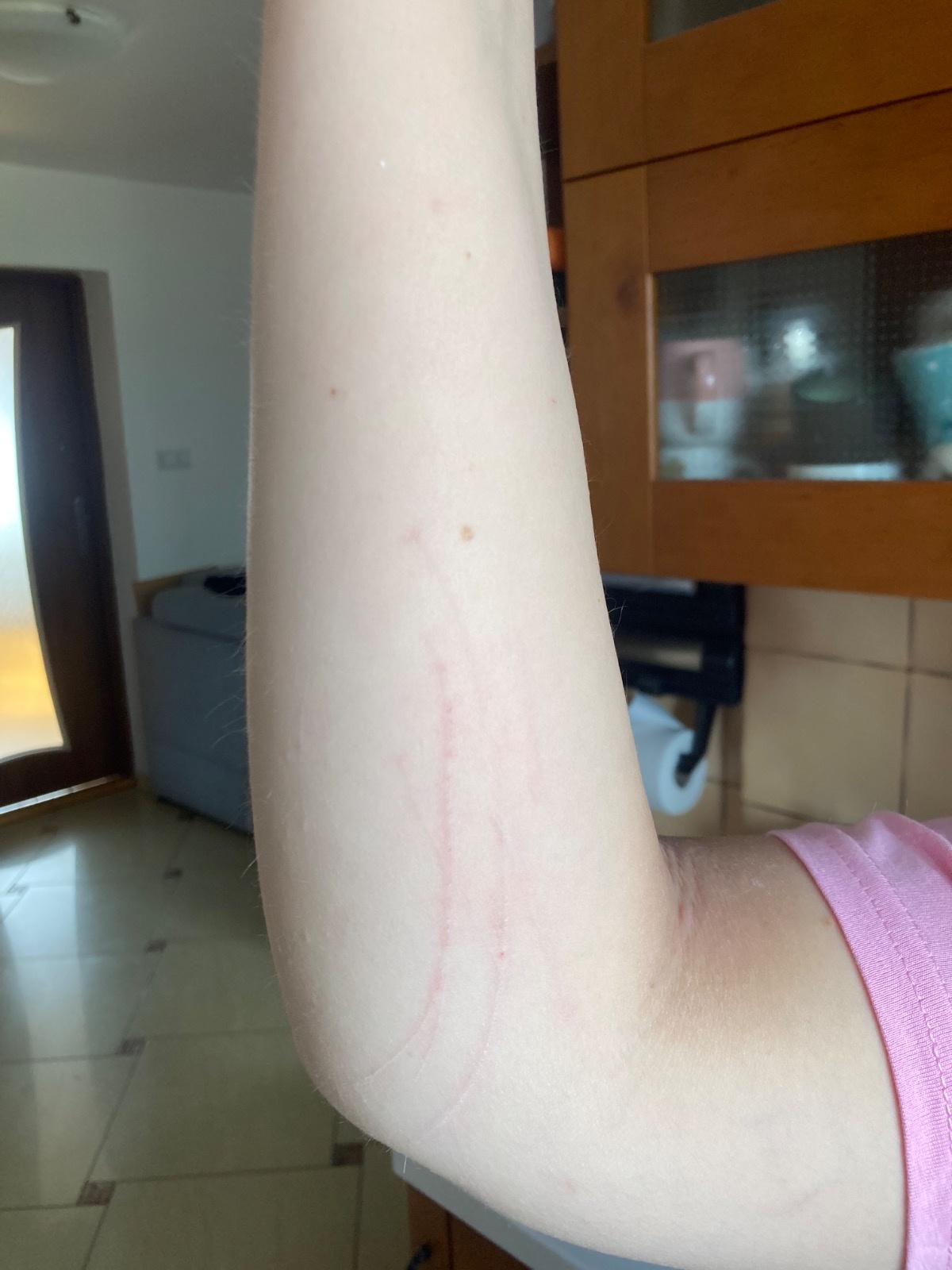 9aa8169d-a918-43fd-adbc-49a469cc2c08