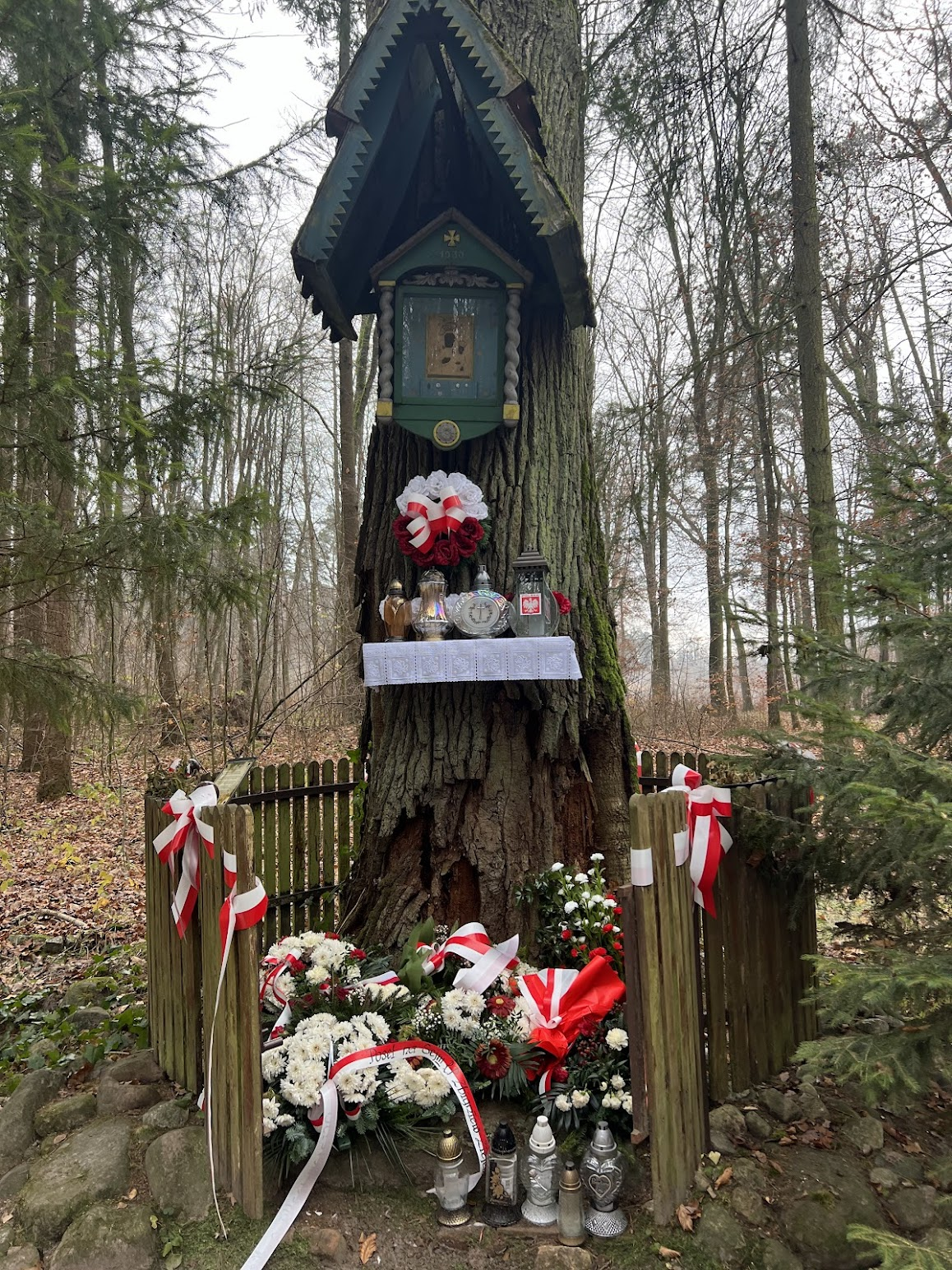 25dd6323-67a8-4741-929f-fc23028b0863