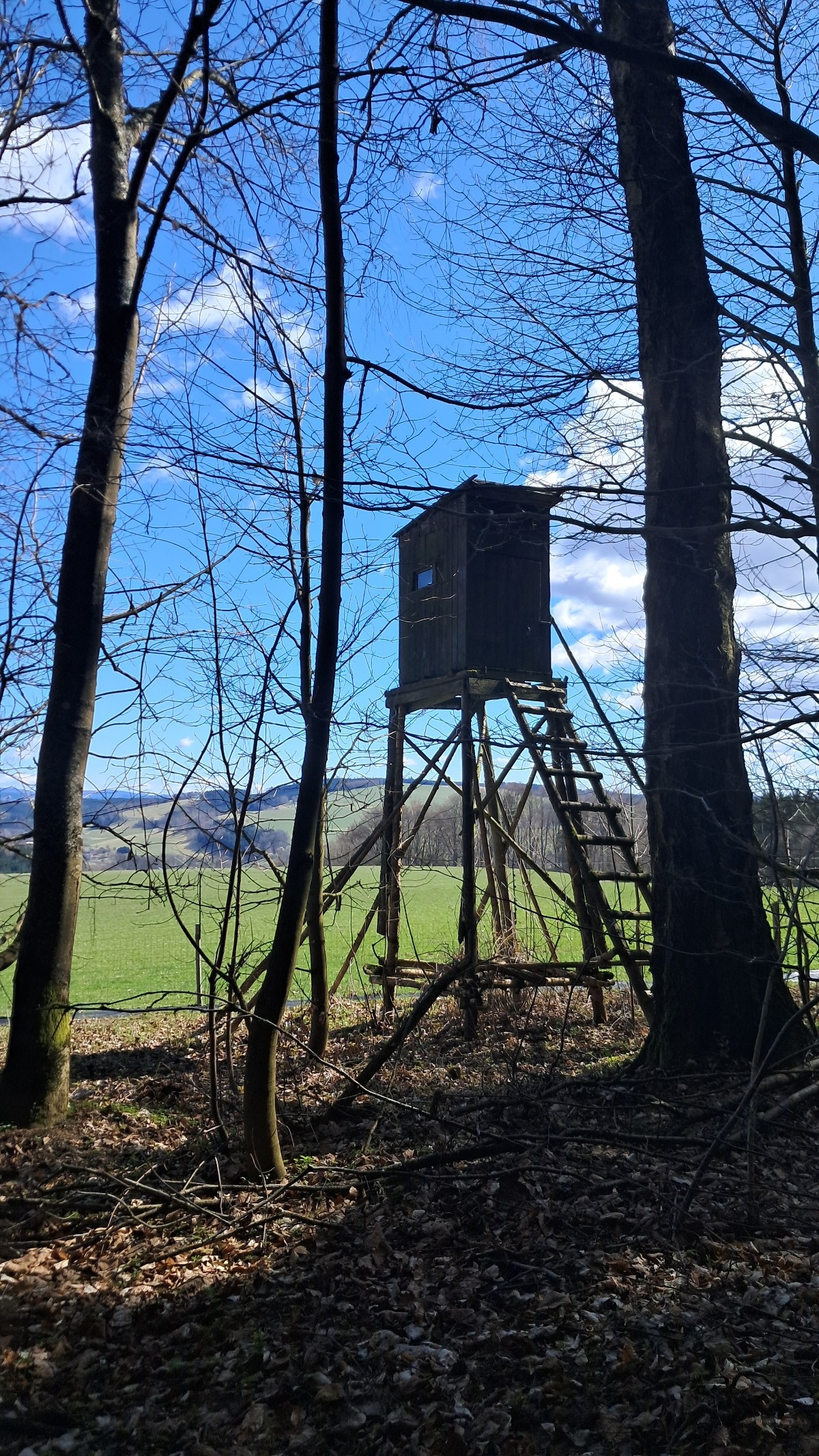 9b4a8118-2daa-42e5-9084-f7b1eb73c614