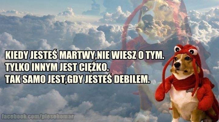 16539087-6923-4670-ba8a-52dd9c9779ad