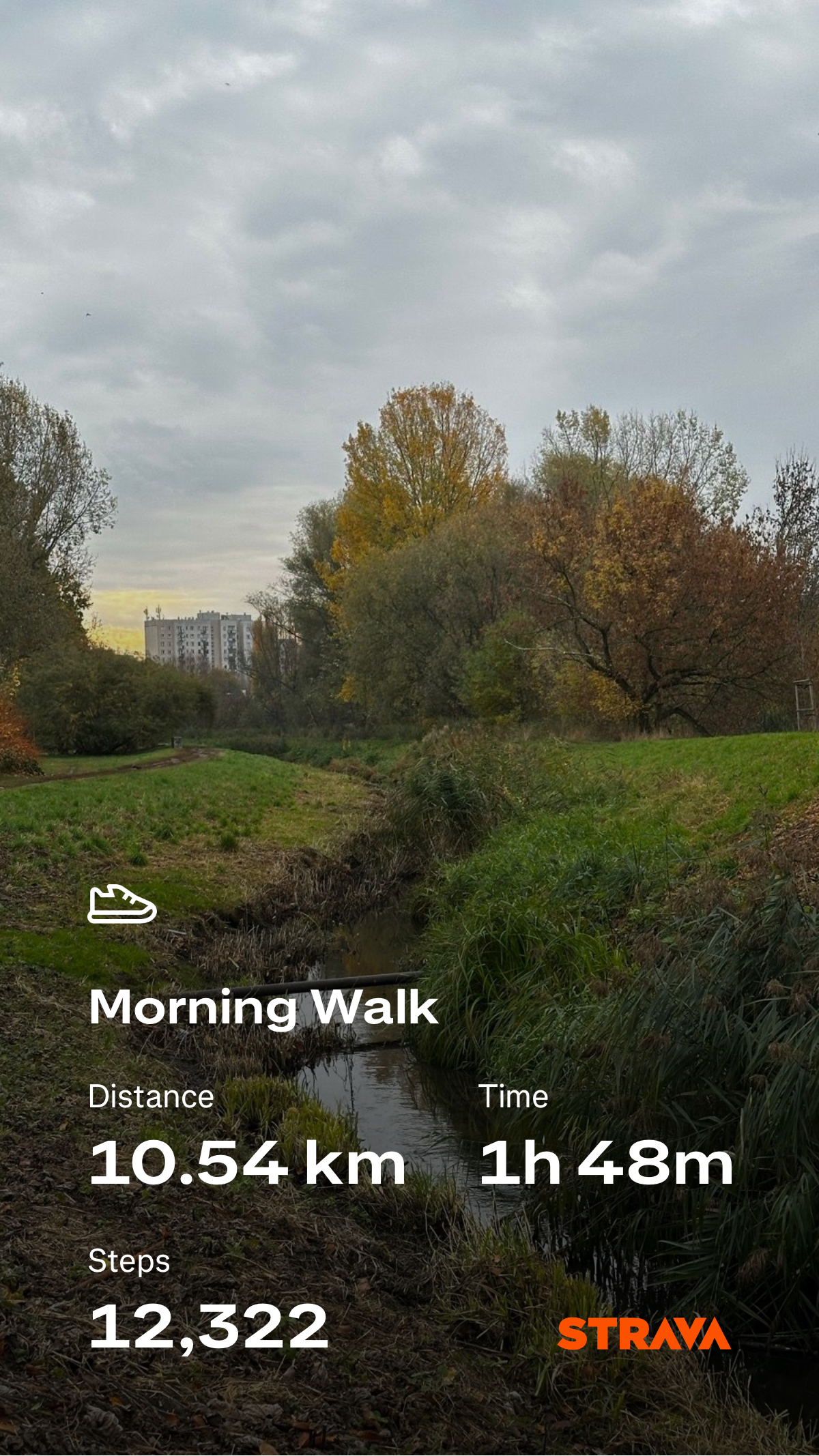 36a05b7f-8ead-43e6-ace8-da9047cfd743