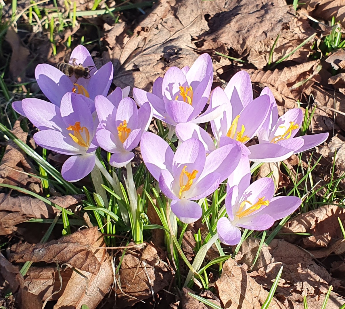 e137bbce-5d60-4454-83be-7c88b0c0a6bd