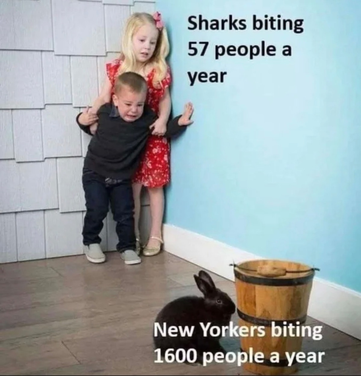 6d10f647-e7d5-46ff-9b52-6ae57ab09303